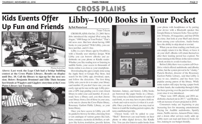 libby article